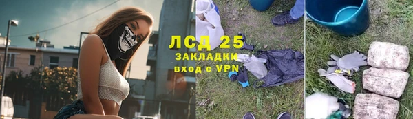 сатива Алзамай
