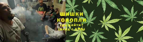 сатива Алзамай