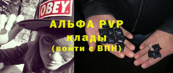 сатива Алзамай