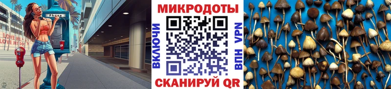 блэк спрут вход  купить   Муравленко  Псилоцибиновые грибы мухоморы 