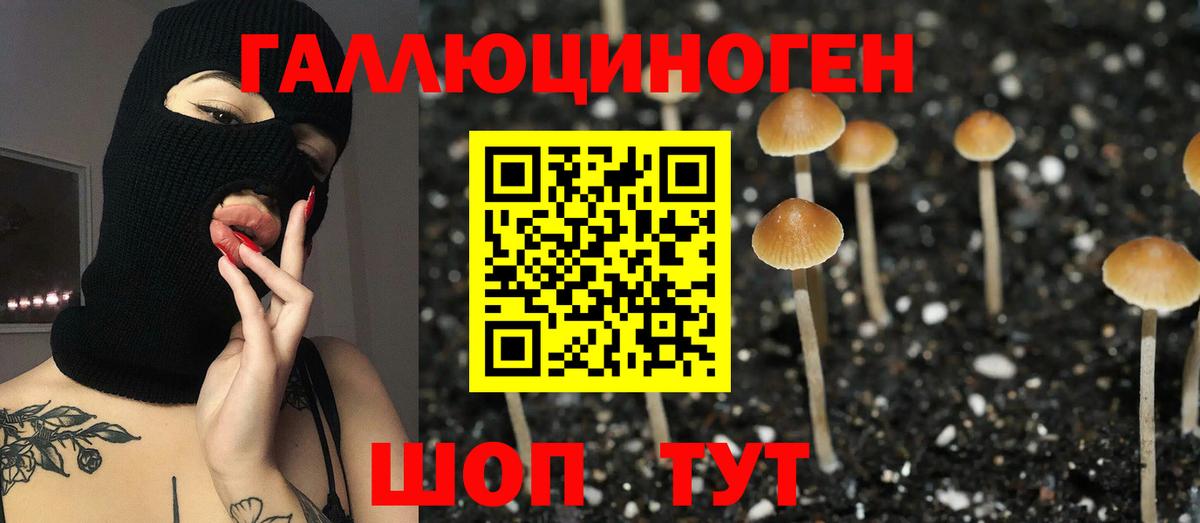 Псилоцибиновые грибы Cubensis Муравленко