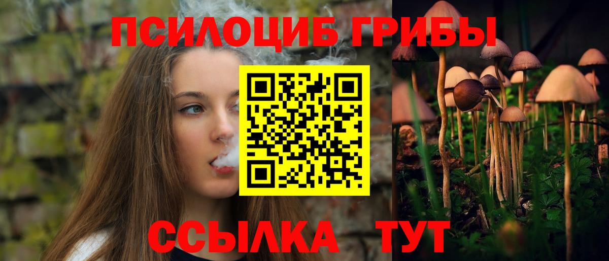 Галлюциногенные грибы Cubensis  Вход с VPN  Псилоцибиновые грибы MAGIC MUSHROOMS  Муравленко 